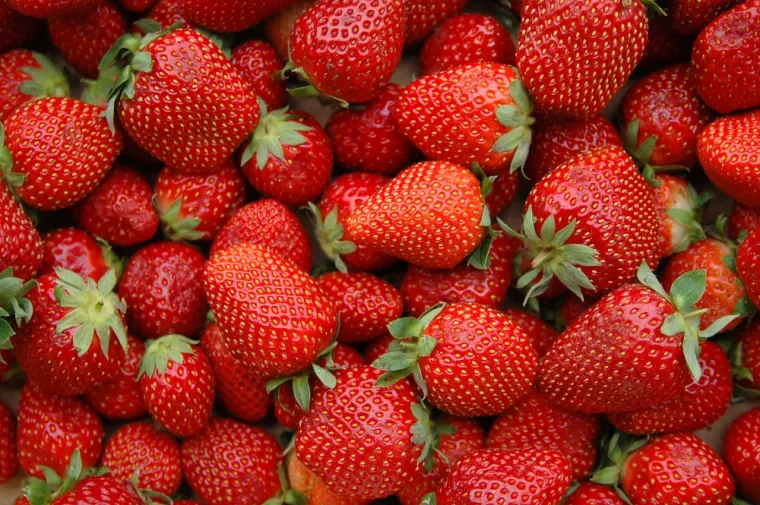 Arrivage de fraises dans votre magasin à Vinay